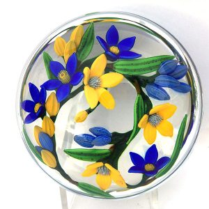 Stars of the Northern Sky Pwt by Colin Richardson