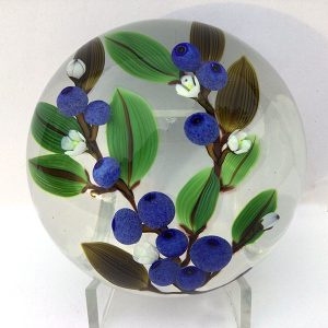 Blueberry Fields Forever PWT by Colin Richardson