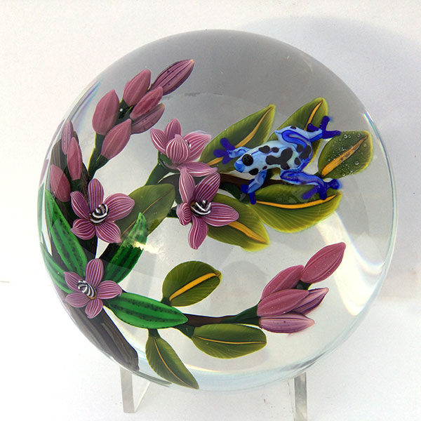 A Prince Unkissed – Blue Poison Dart Frog