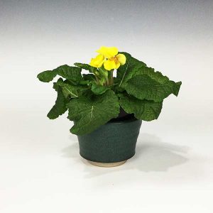 Amy Peseller Small Deep Green Flower Pot