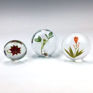 Set of 3 Jack in the Pulpit, Day Lily, Poinsettia