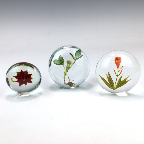 Set of 3 Jack in the Pulpit, Day Lily, Poinsettia