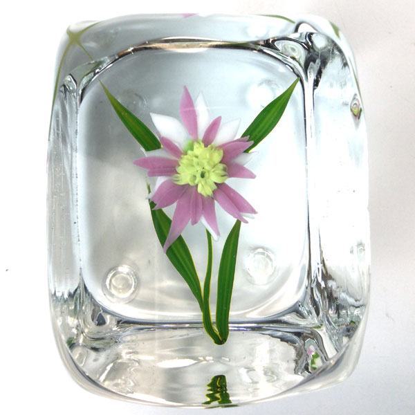 Pink Daisy Experimental Cube by Paul Stankard