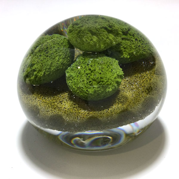 Moss Study Paperweight by Stankard Studio