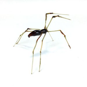 Brown Soft Glass Spider by Ishmael Rodriguez