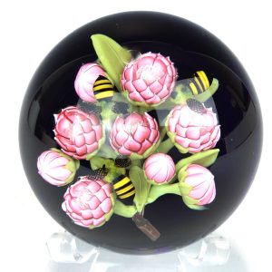 Pink Protea Flowers & Honeybees by Clinton Smith