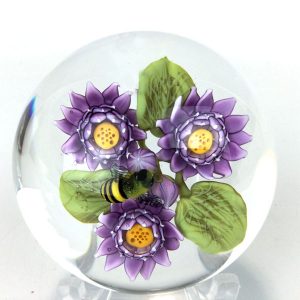 Small Purple Lotus Flowers by Clinton Smith