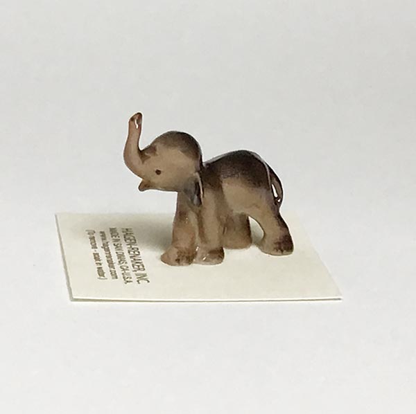 Small Baby Elephant